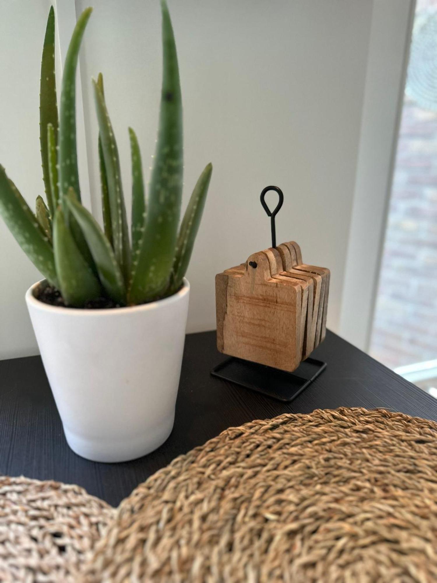 Hello Noordwijk - Studio Pietheinplein 1 المظهر الخارجي الصورة